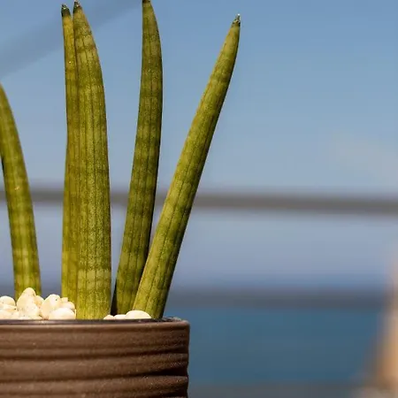 Tabak Sea Side * Chania (Crete)