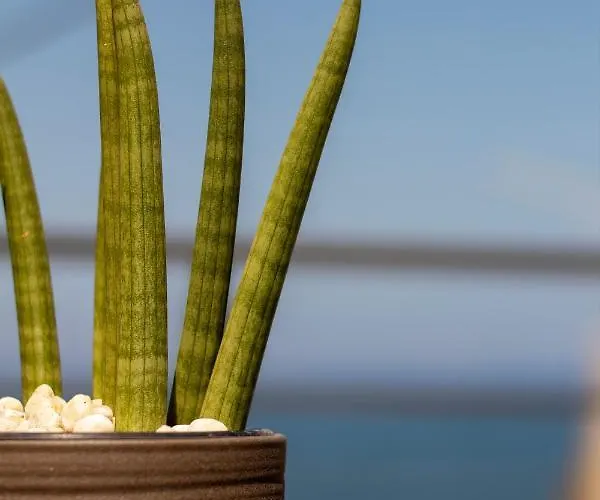 Tabak Sea Side * Ханья (Крит)